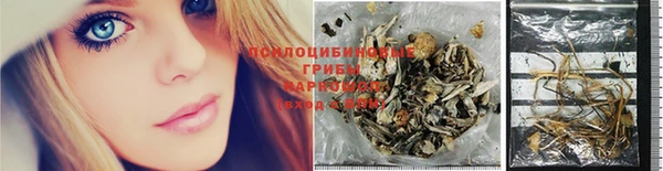 apvp Зеленокумск