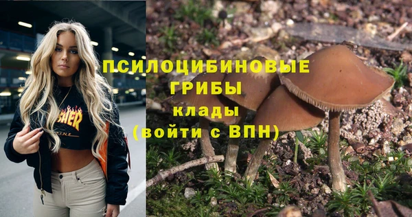 apvp Зеленокумск