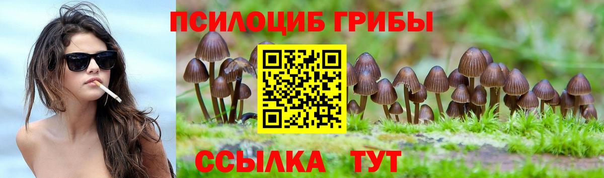 Снежинск  Галлюциногенные грибы Psilocybine cubensis  Вход с VPN 