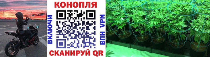 Каннабис SATIVA & INDICA  Снежинск 